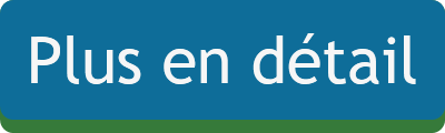 Plus en détail